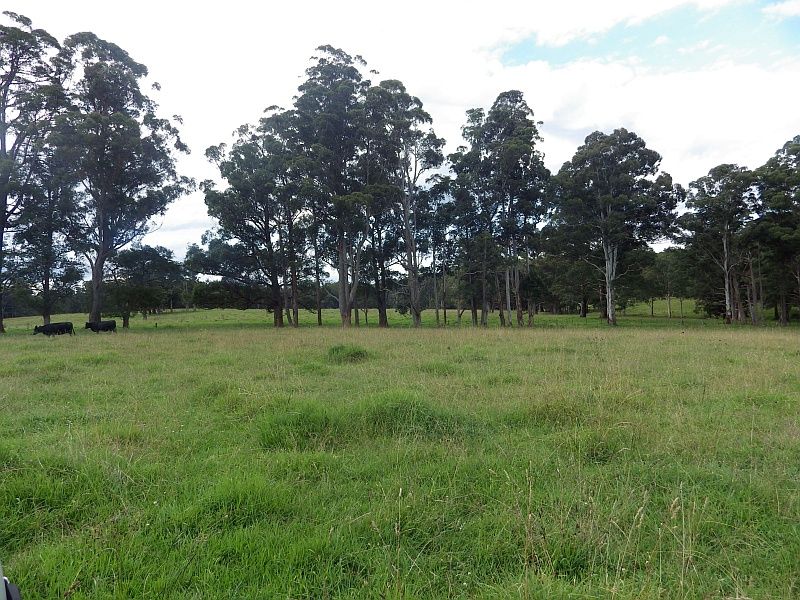 9408 Armidale Road, Tyringham NSW 2453, Image 0