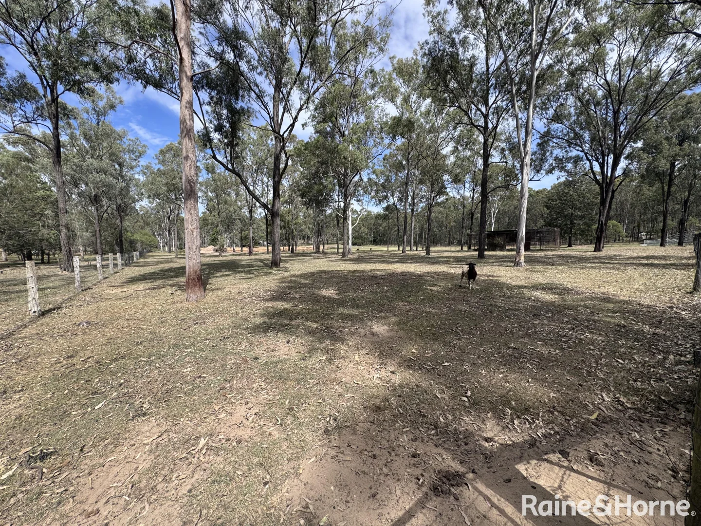 Additional image 26 of 229 Nanango Brooklands Road, Nanango QLD 4615