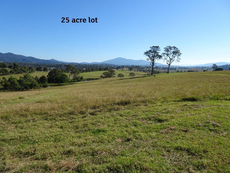 10972 Princes Highway, Cobargo NSW 2550, Image 2