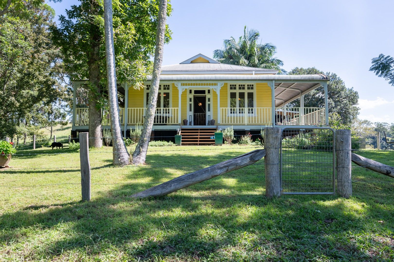 1620 North Arm Road Argents Hill, Bowraville NSW 2449 House for Sale