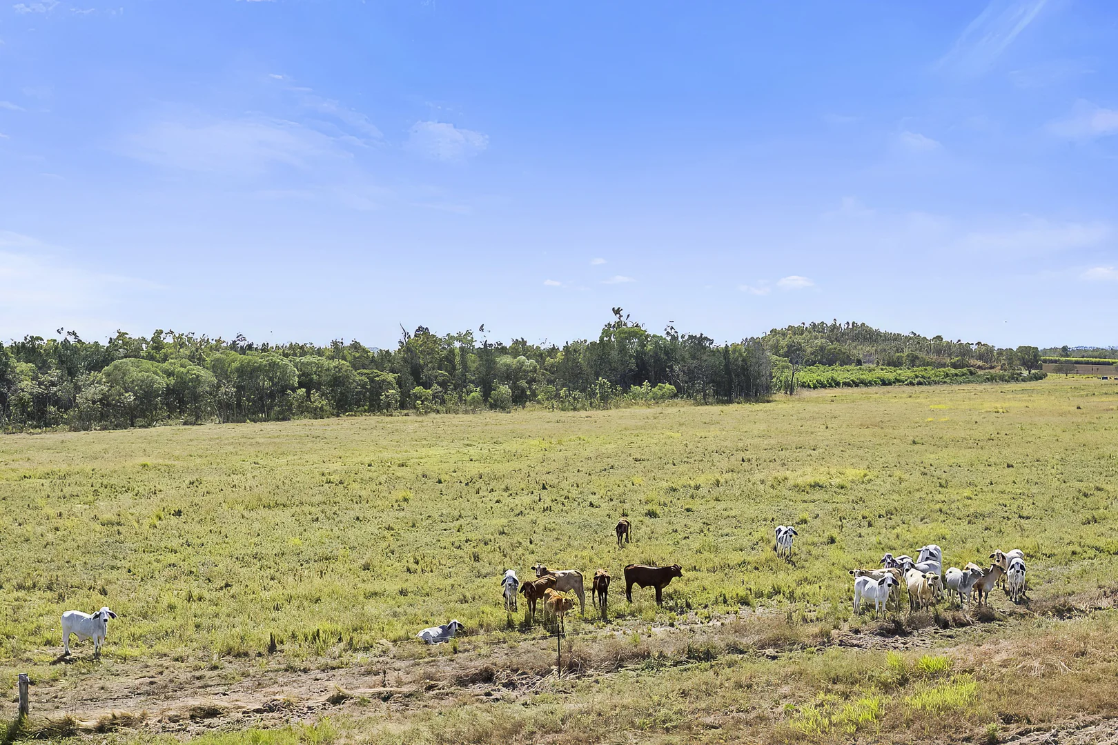 Additional image 32 of 171 Shanty Creek Road, Mareeba QLD 4880