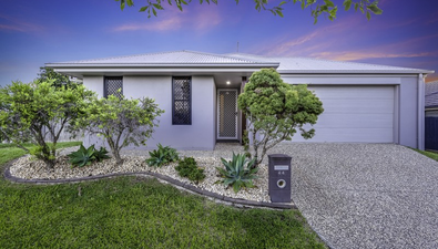 Picture of 44 Cardamom Close, GRIFFIN QLD 4503