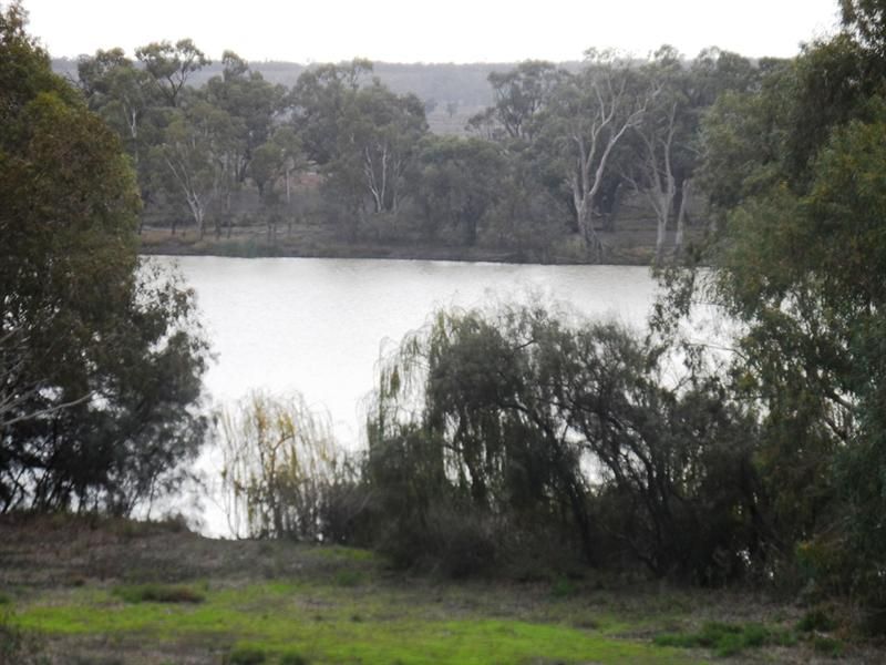 Lot 42 Kingston Road, LOXTON SA 5333, Image 0