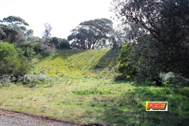 Vacant land in 43 PANDORA AVENUE, VENUS BAY VIC, 3956