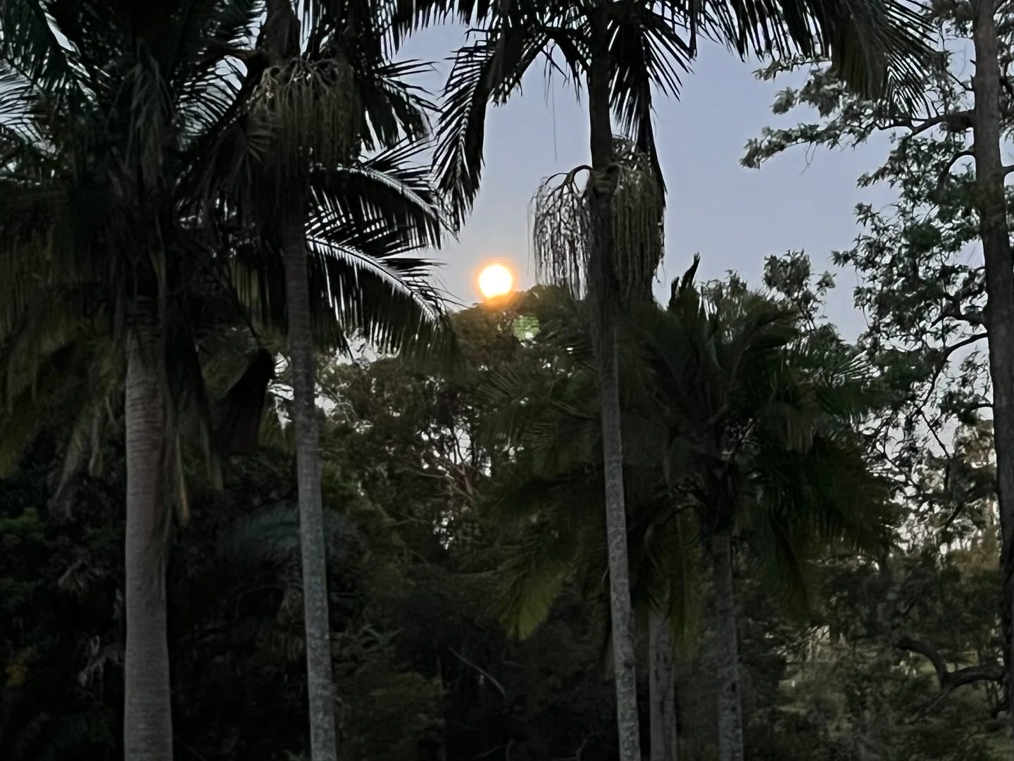 Additional image 9 of 72 Peterson Road, Woodford QLD 4514