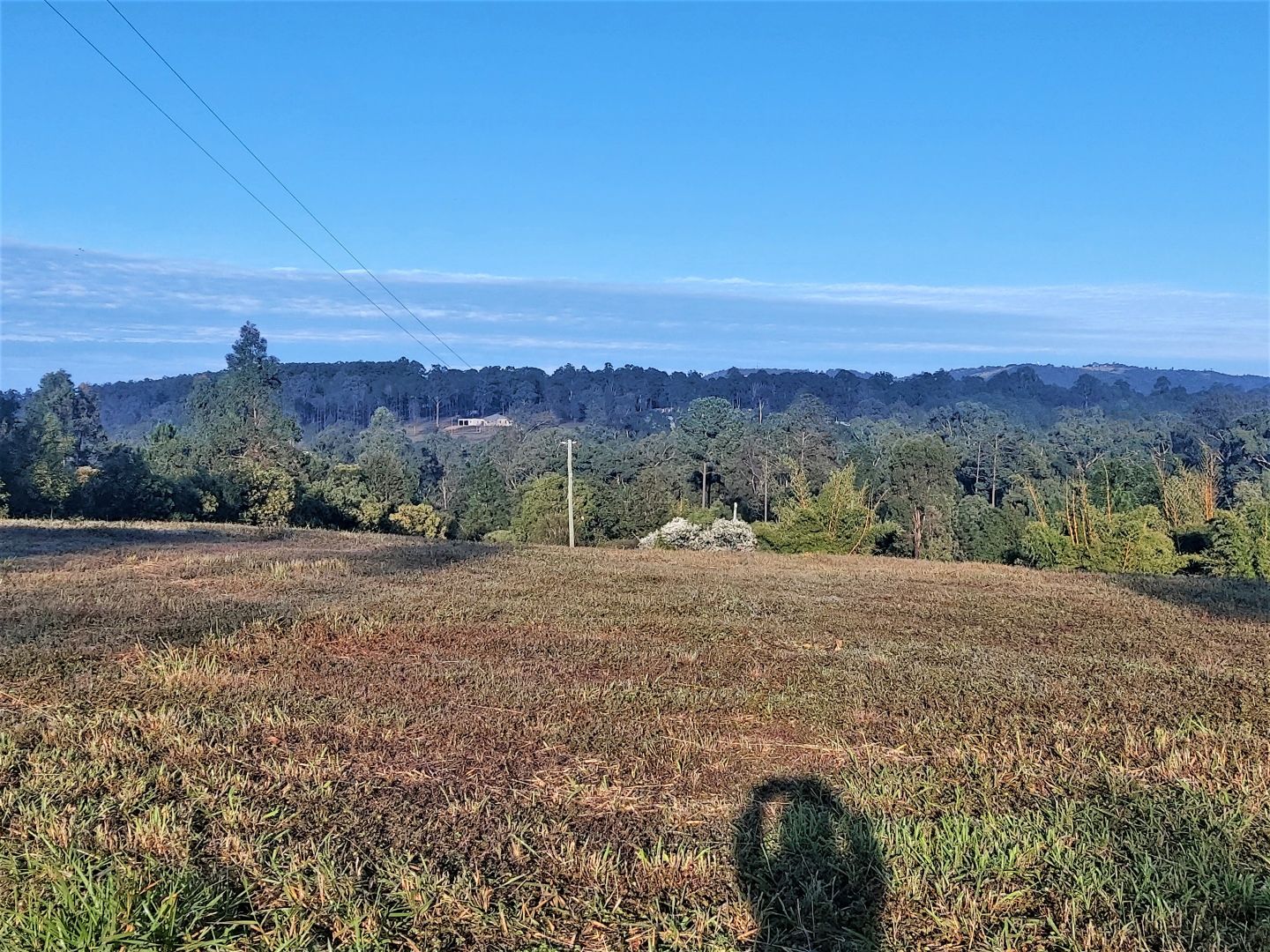 Lot 114 Arborfive Road, Glenwood QLD 4570 Domain