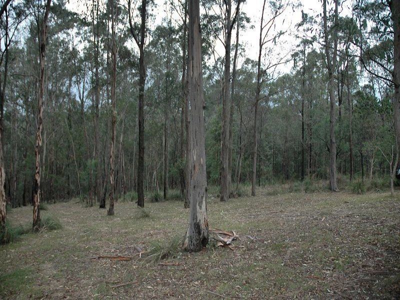 Middle Ridge Road, Wollombi NSW 2325, Image 1
