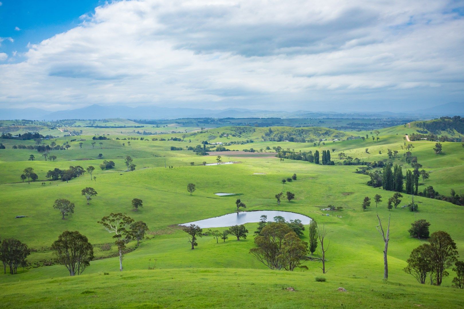 39 Atkins Anderson Road, Wolumla NSW 2550, Image 0