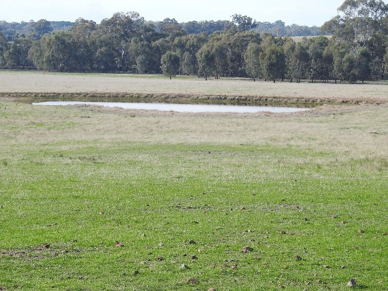 CA 61, Sec A Paynters Road, Violet Town VIC 3669 House for Sale