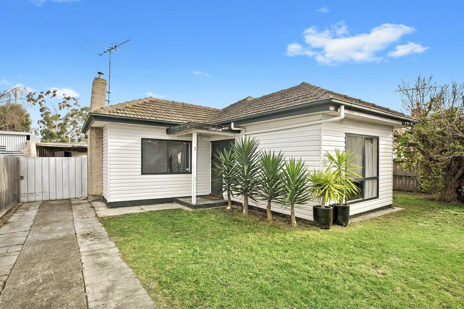 1 Stafford Street, Herne Hill VIC 3218, Image 0