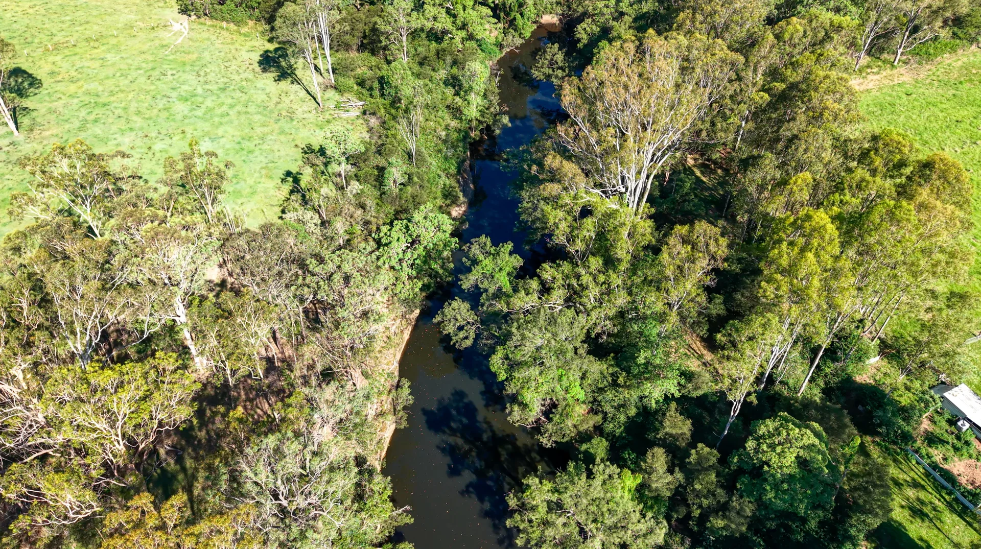 Additional image 12 of 119 Paddys Flat Road, Tabulam NSW 2469