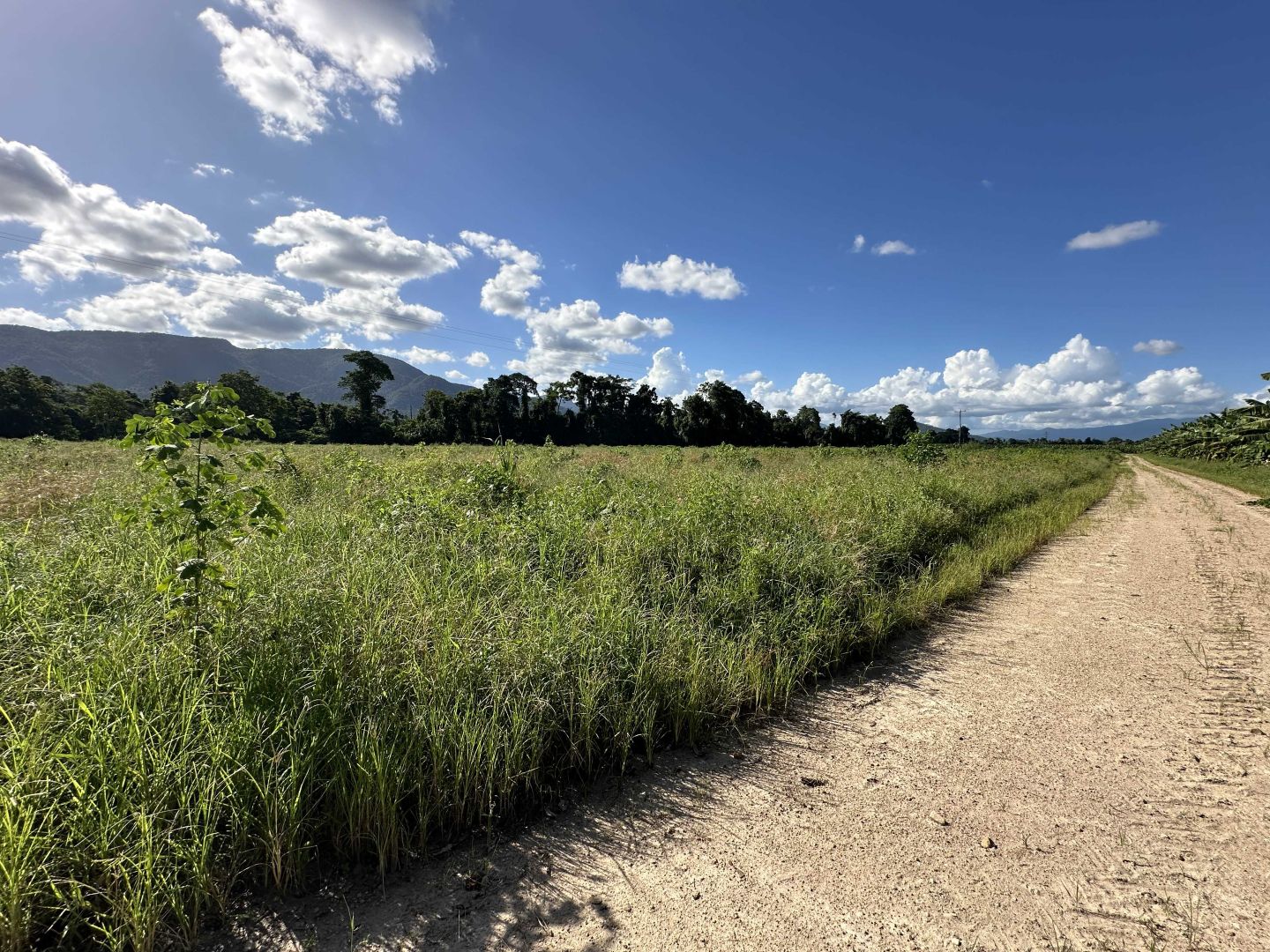 Lot 2 South Davidson Road, Munro Plains QLD 4854, Image 2