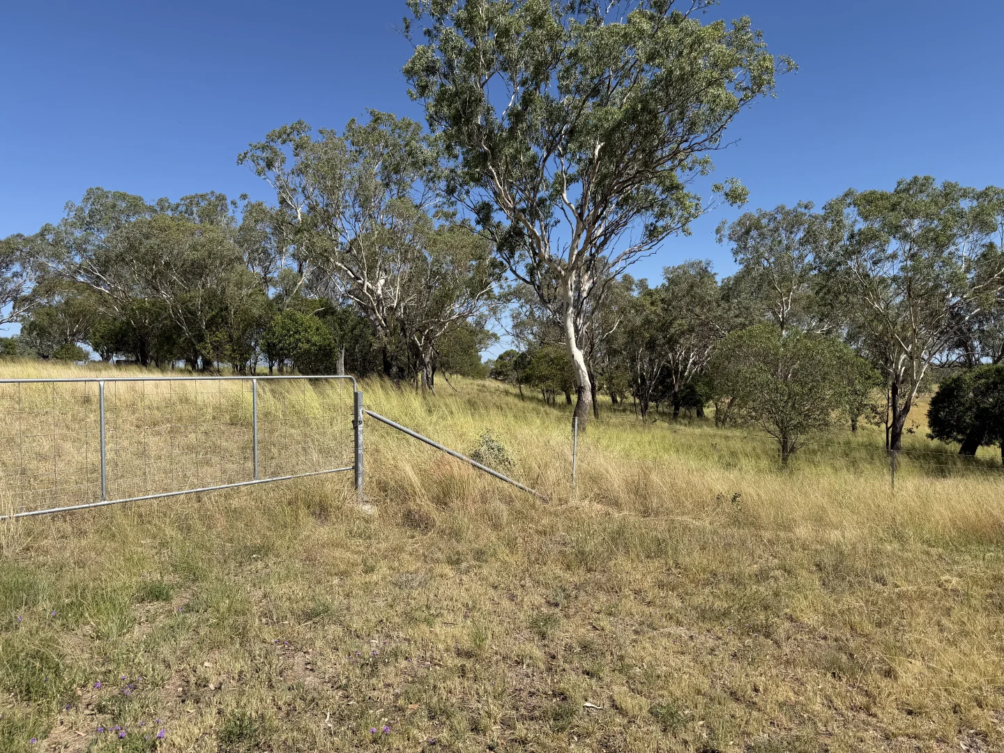 Image 15