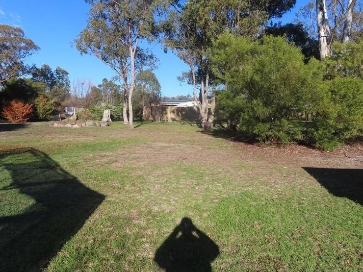 Image 20
