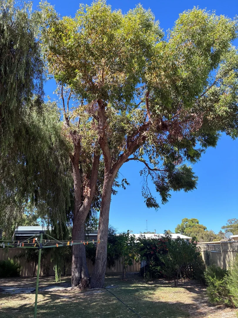 Additional image 20 of 10a Birchley Road, Coodanup WA 6210