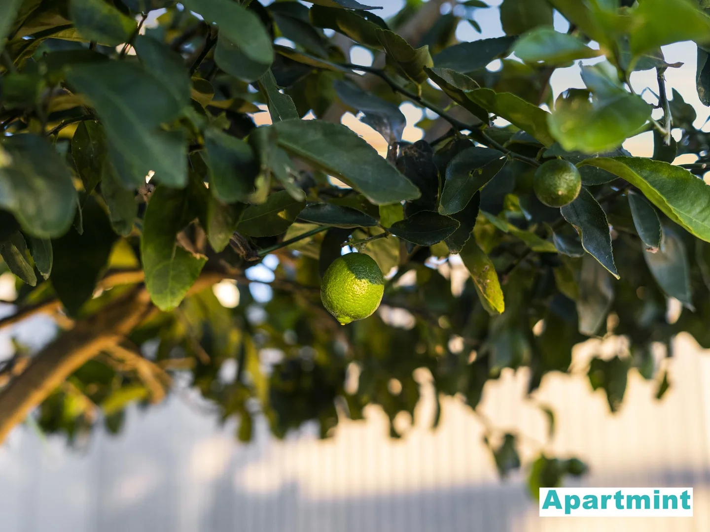 Additional image 13 of 304/36 Anglesey Street, Kangaroo Point QLD 4169