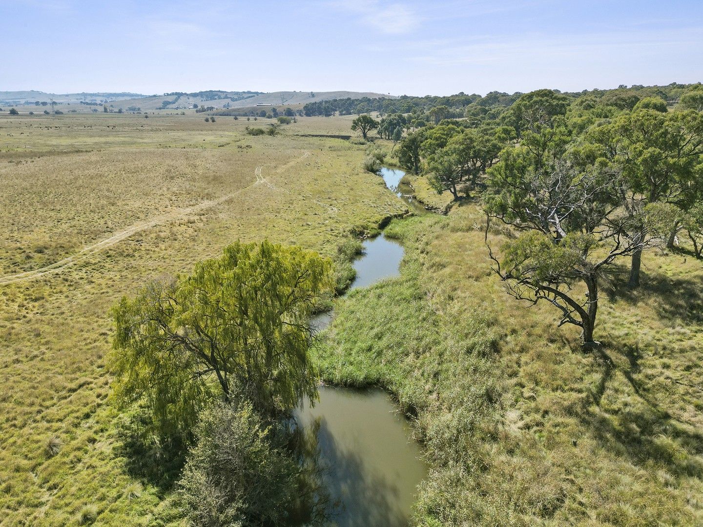 50 Carnells Lane Dalton, Gunning NSW 2581, Image 0