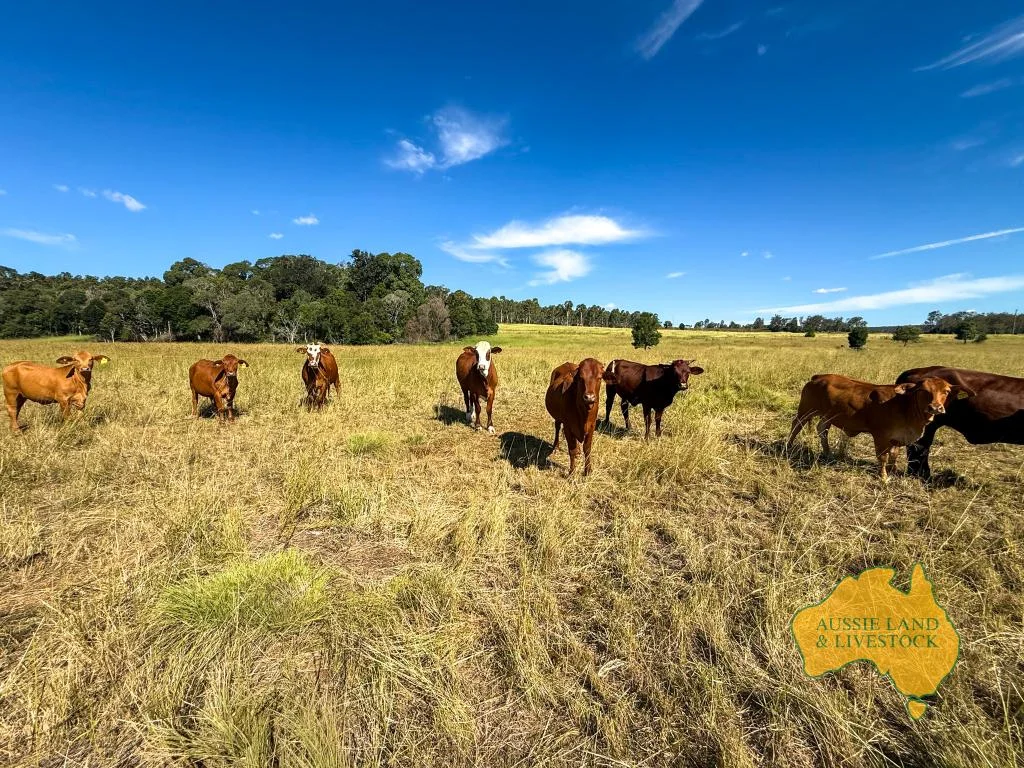 Additional image 65 of 268 Back Creek Road, Stalworth QLD 4613