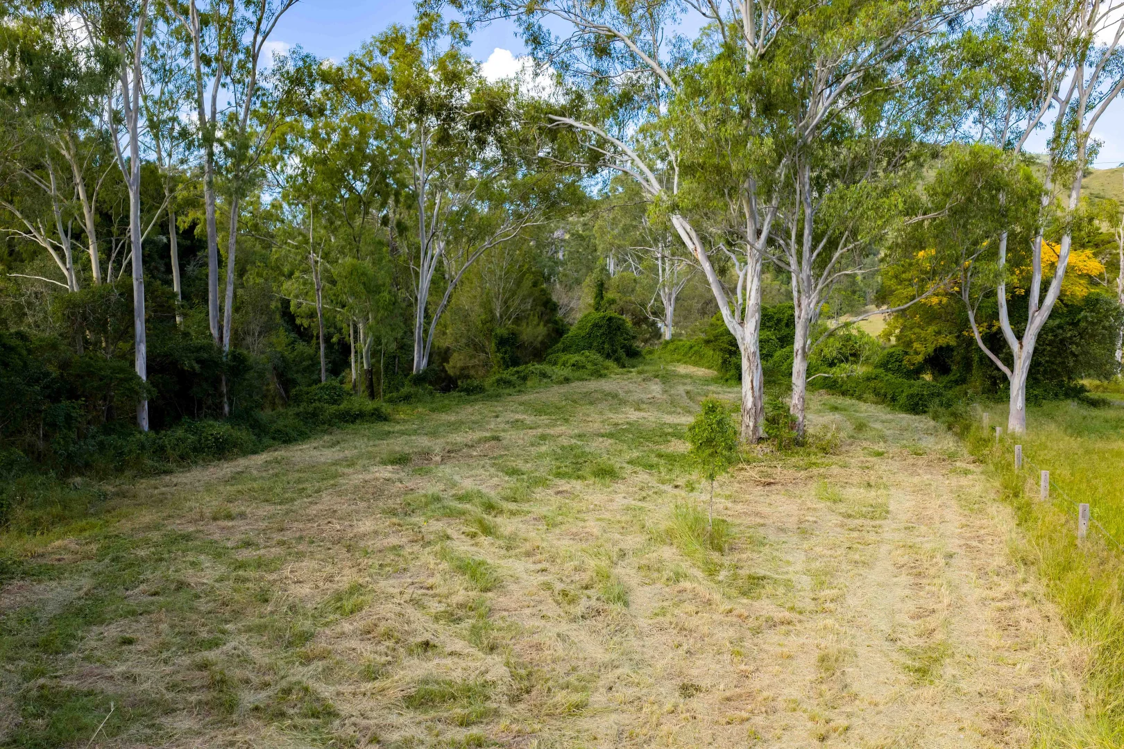 Image 17