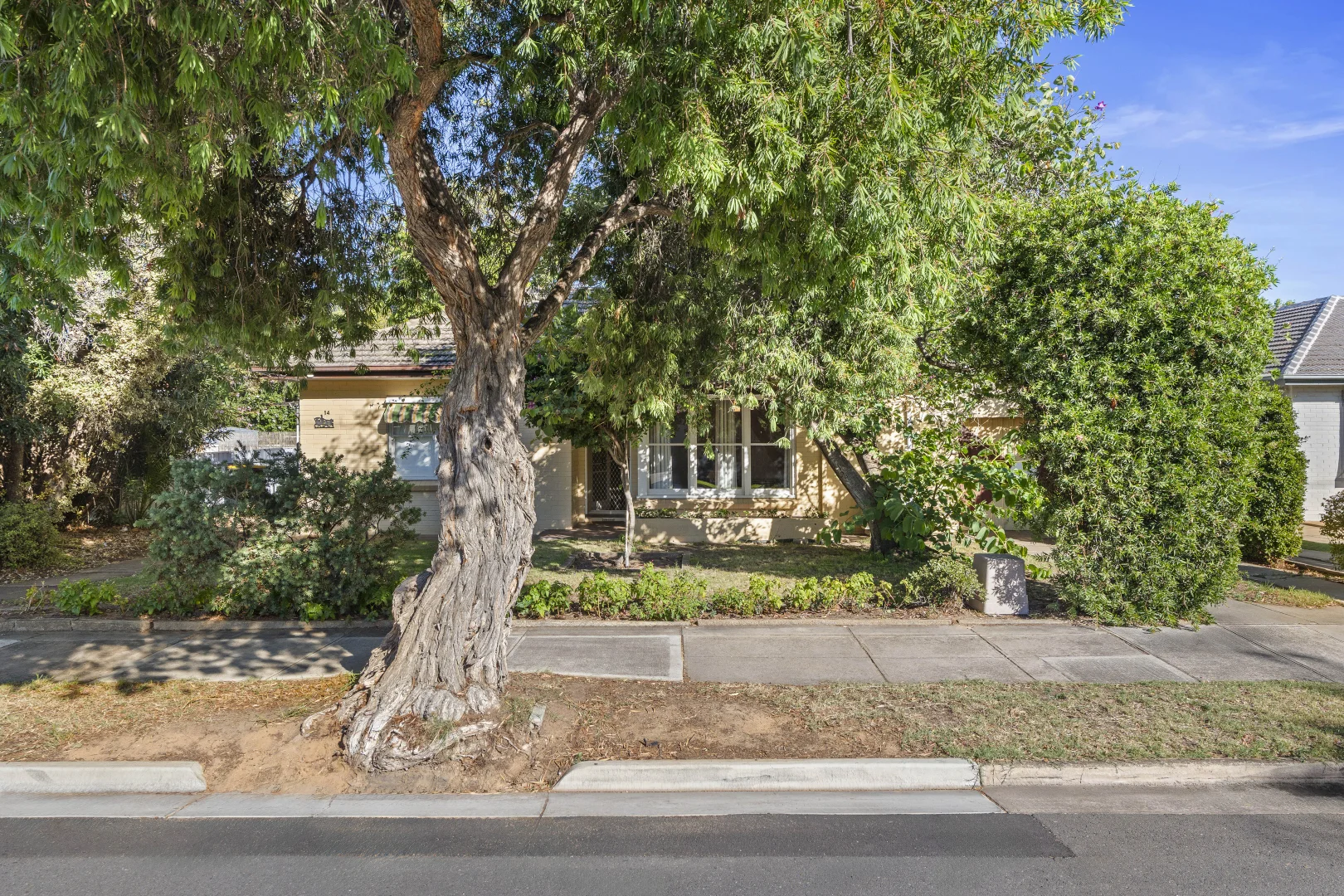 Additional image 15 of 14 Wongala Avenue, Glenelg North SA 5045