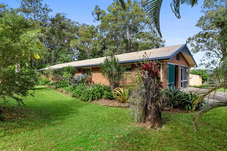 36 Bahdilli Cres, Diddillibah QLD 4559, Image 0