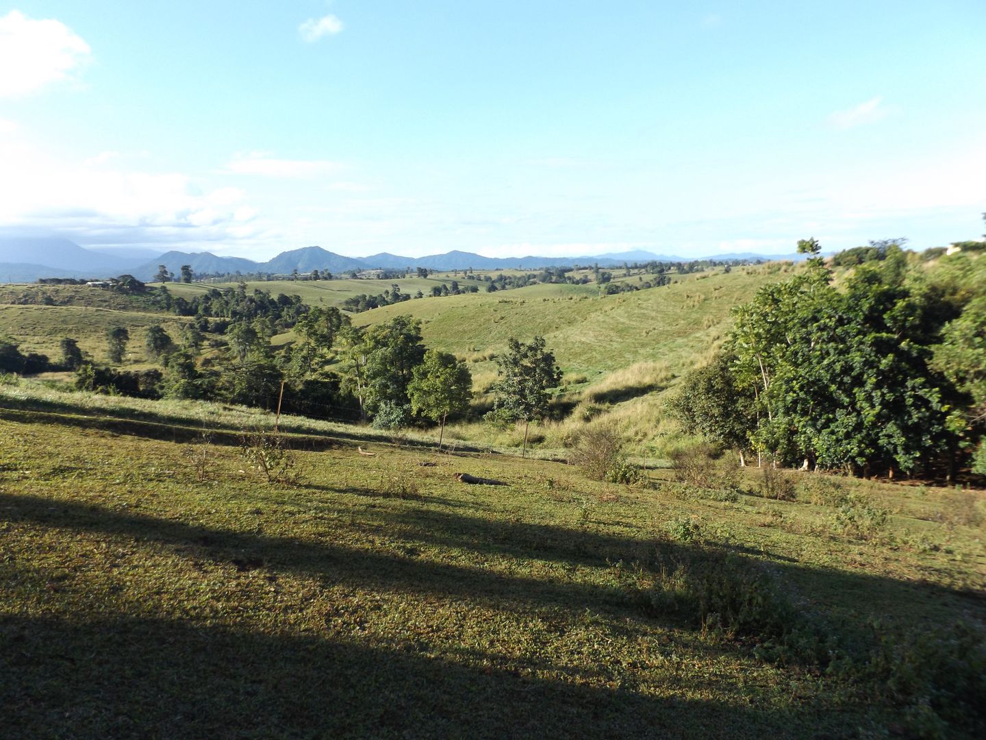 2008 Palmerston Highway, East Palmerston QLD 4860 House for Sale