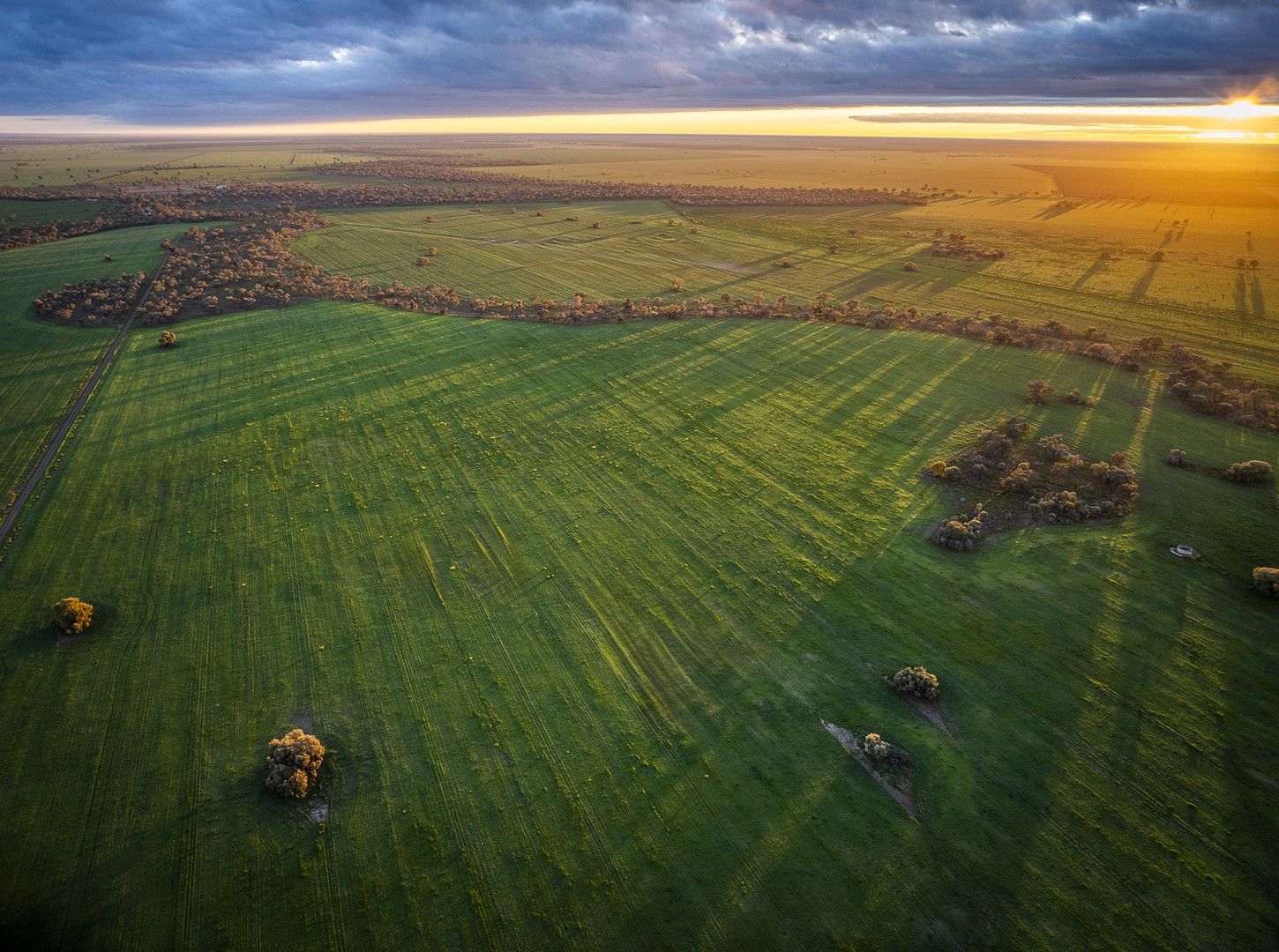 Rural in 'Trewilga', COONAMBLE NSW, 2829