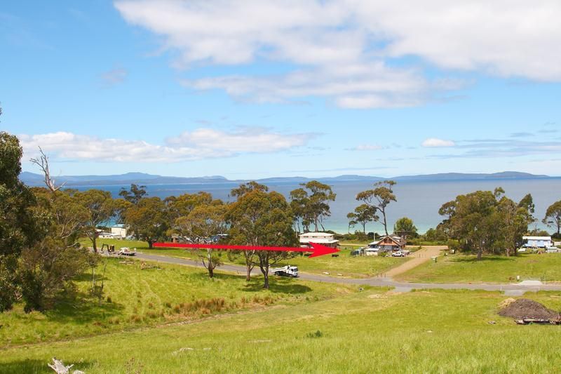 69 Big Roaring Beach Road, Surveyors Bay TAS 7116, Image 1