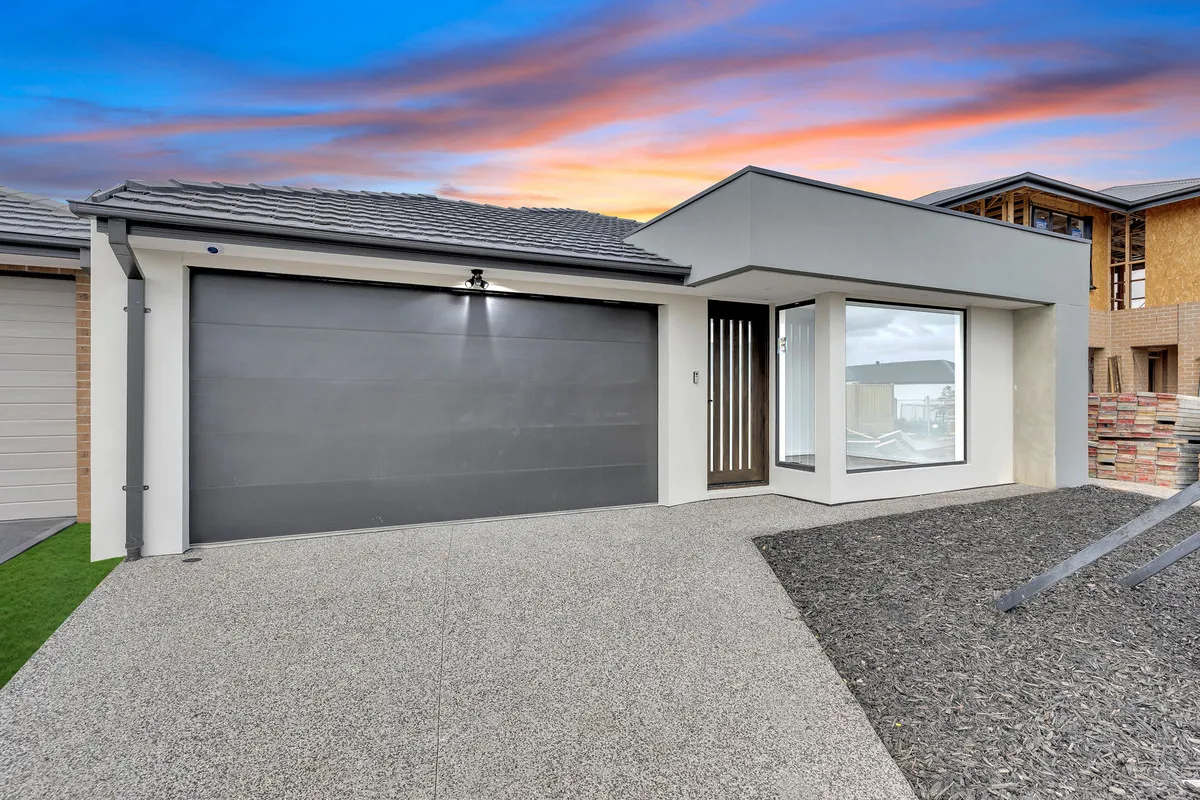 In Your Budget and Brand New!, Donnybrook