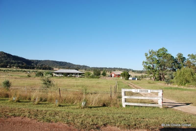 KAINS FLAT NSW 2850, Image 0