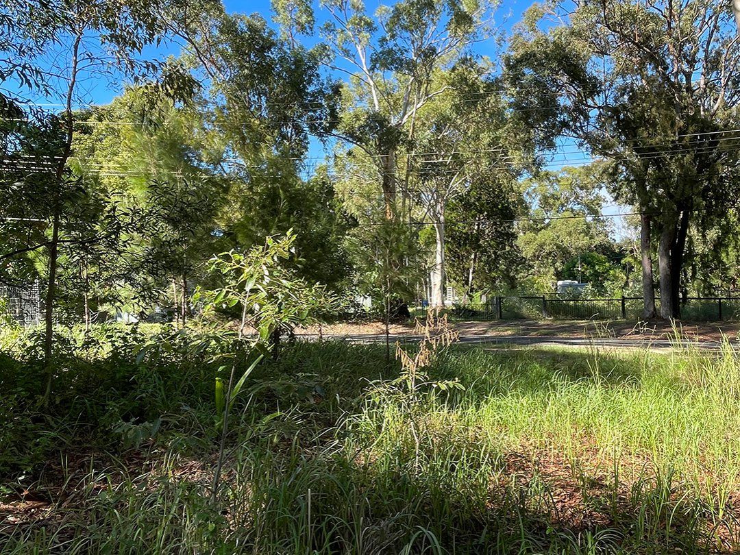 Vacant land in 15 Tukkeri Street, MACLEAY ISLAND QLD, 4184