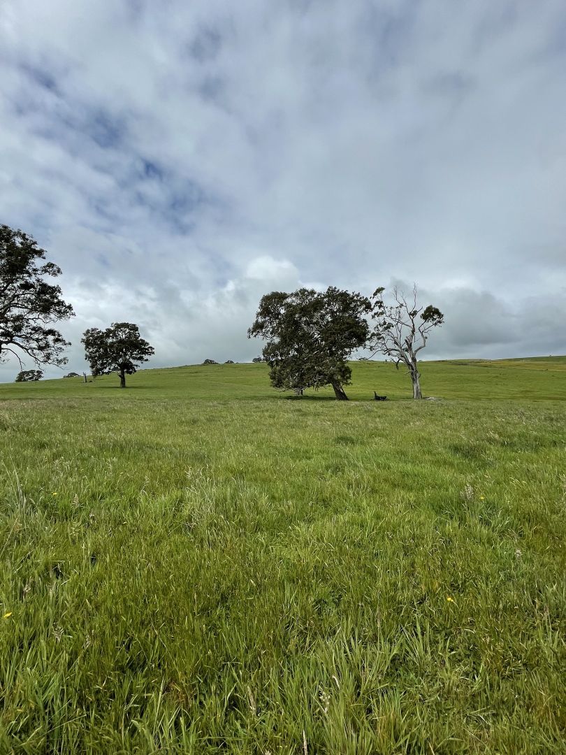 Portland-Casterton Road, Henty VIC 3312, Image 2