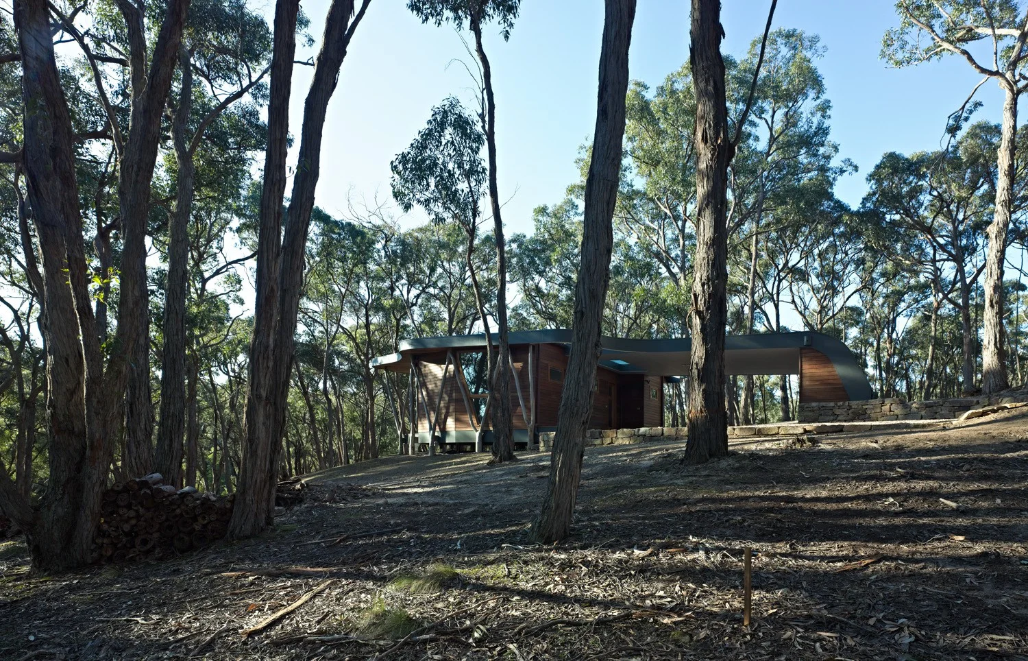 Image 13