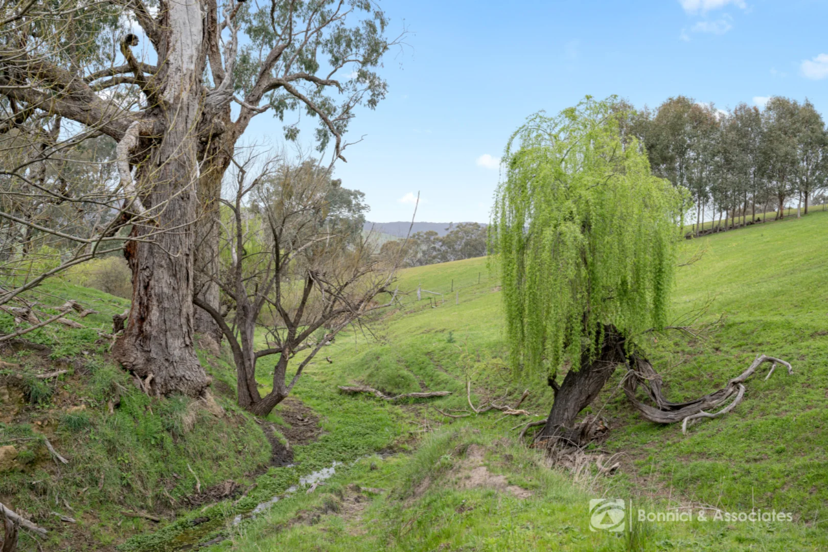 Image 14