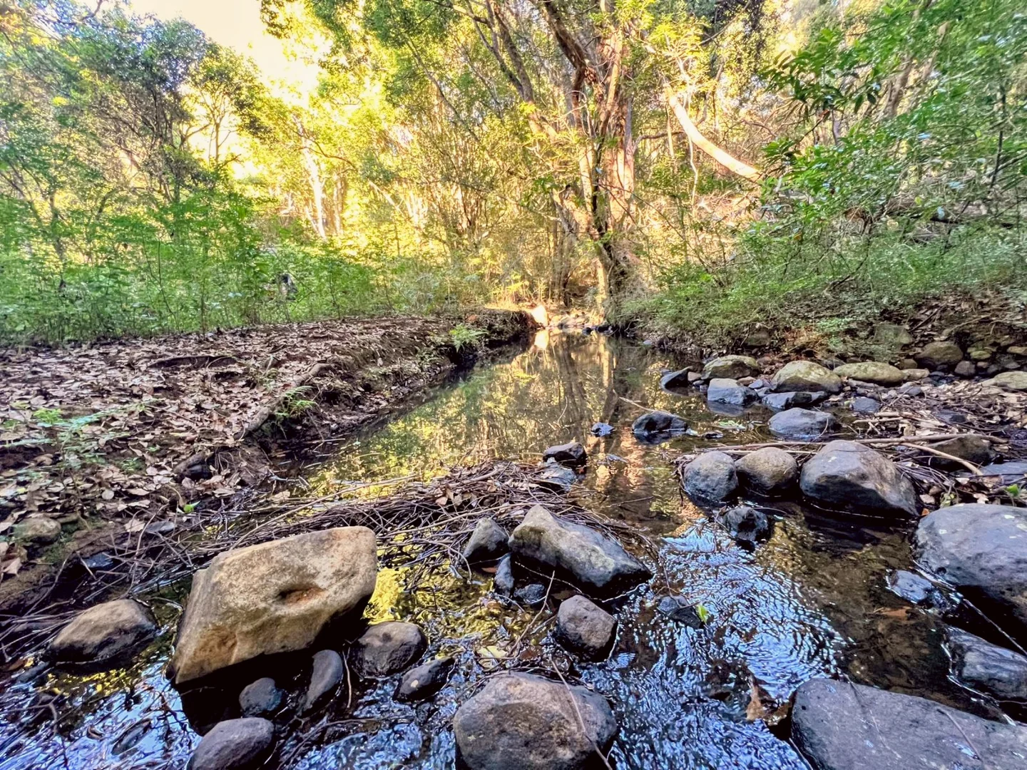 Additional image 5 of 369 Coolamon Scenic Drive, Coorabell NSW 2479