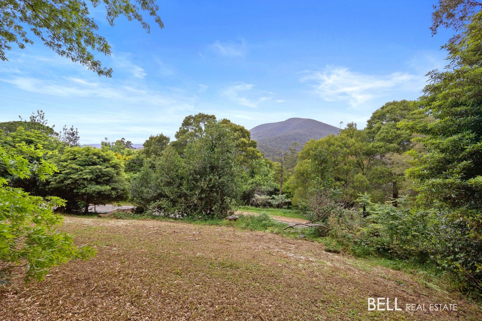 49 Donna Buang Road, Warburton VIC 3799, Image 0