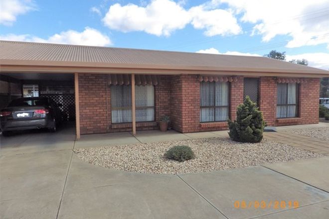 Picture of 1/113 Bookpurnong Terrace, LOXTON SA 5333