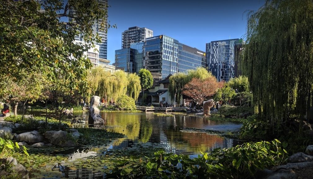 20/119 Allen Street, Pyrmont NSW 2009 Apartment For Rent 730 Domain