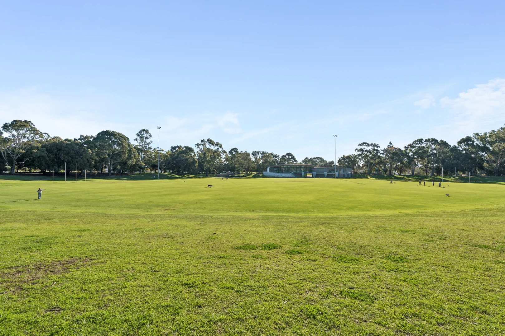 Image 28