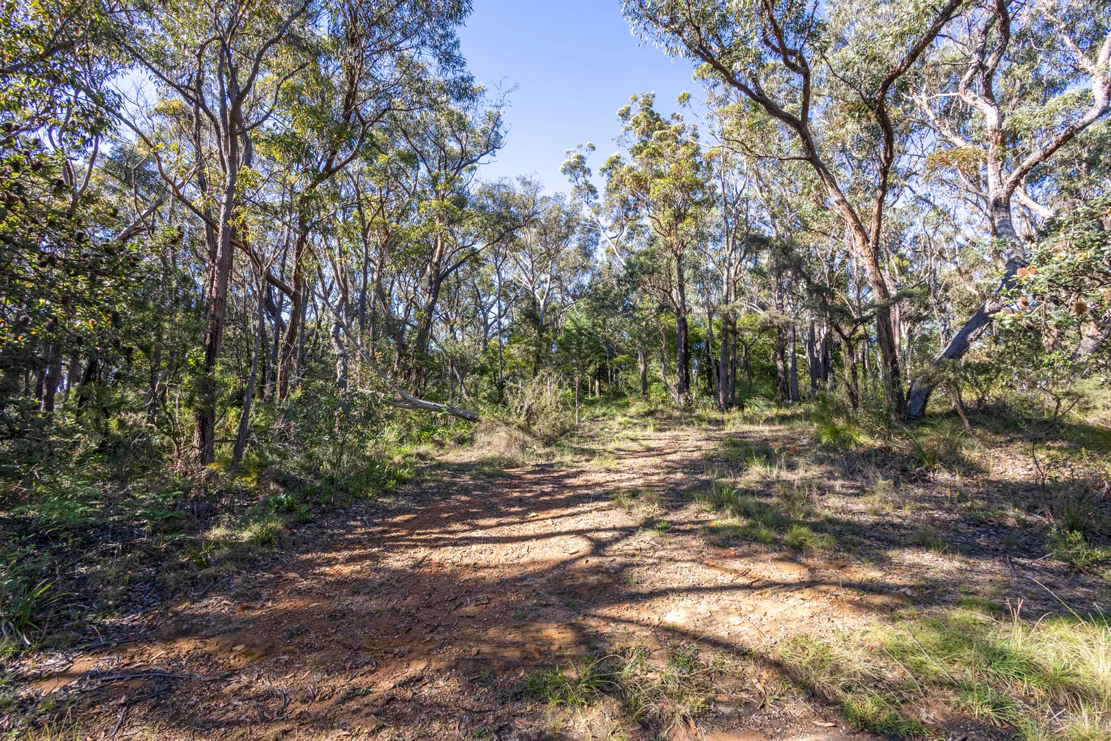Additional image 2 of 23 Lurline Street, Wentworth Falls NSW 2782