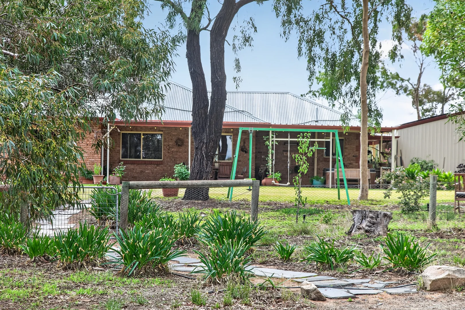 Image 19