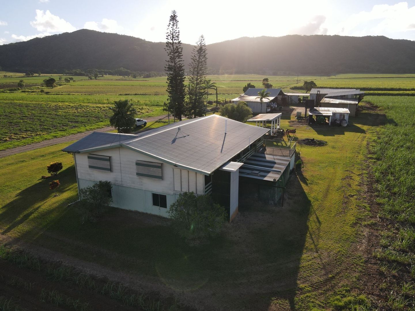 36 Cataldo Road, Boogan QLD 4871 House for Sale Domain