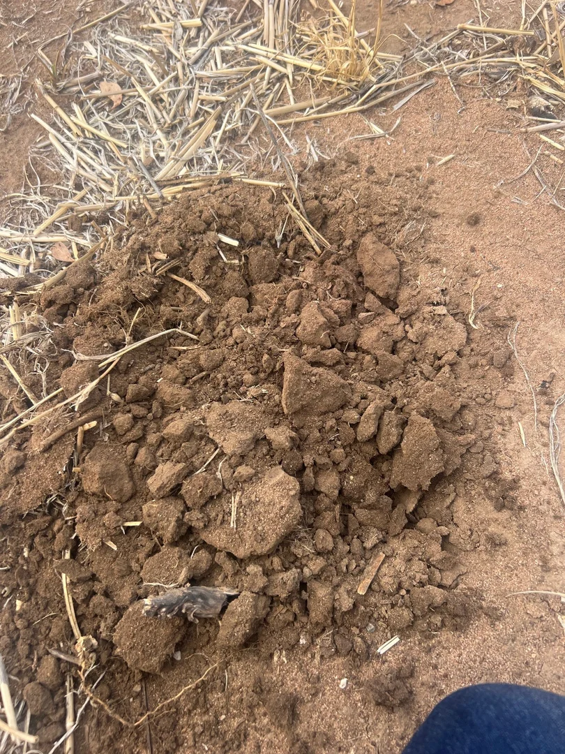 Additional image 6 of Aubrey Road Cannum, Cannum VIC 3393