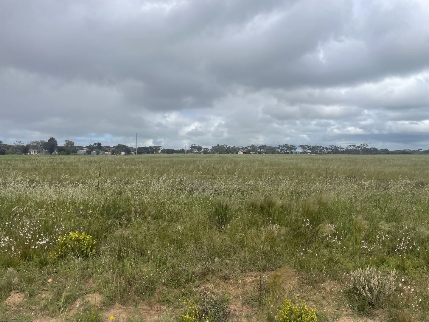 Lot 64 Mary Street, Price SA 5570, Image 2