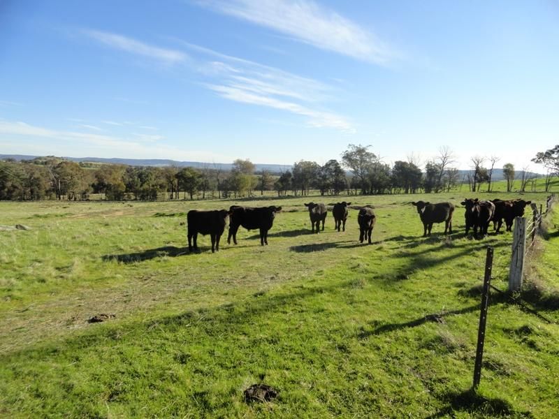 Lot 10 Jessies Lane, INDIGO VALLEY VIC 3688, Image 1