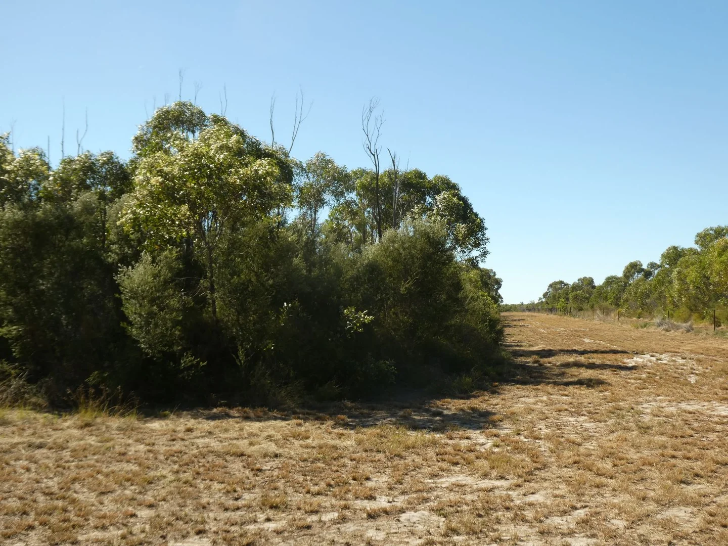 Image 11