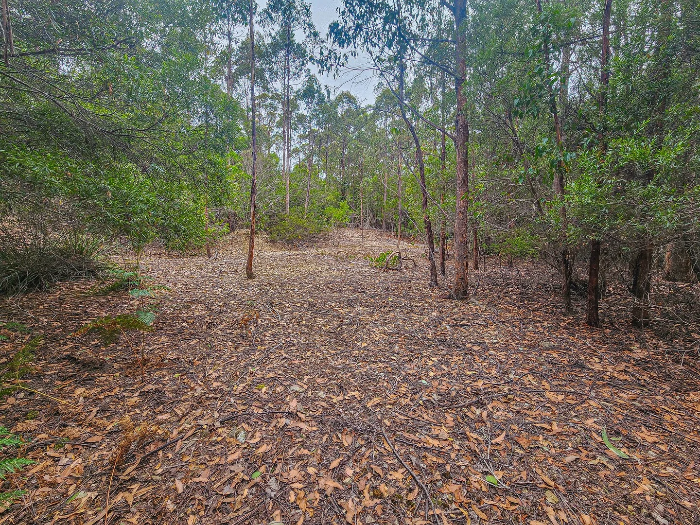 1 Link Road, Lonnavale TAS 7109