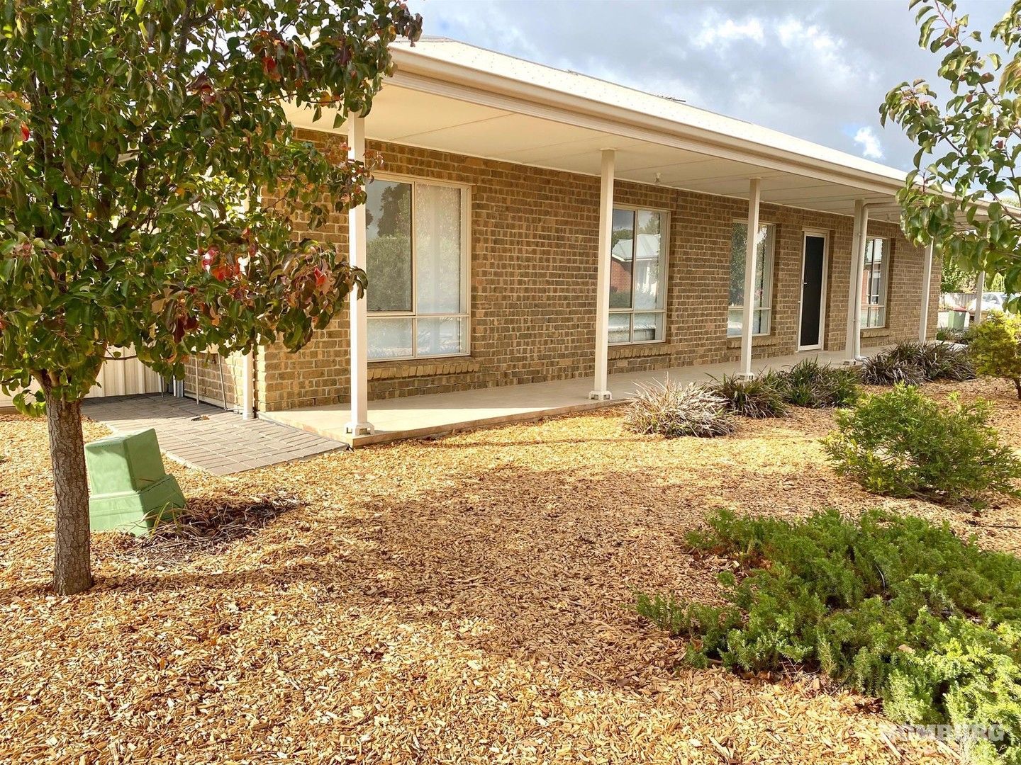 54 Reusch Drive, Nuriootpa SA 5355 House For Rent Domain