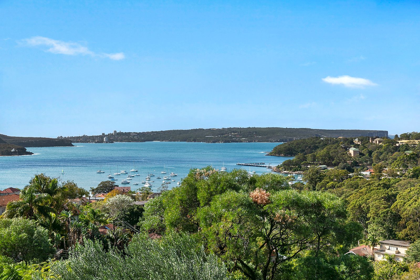 24 Redan Street (enter via 24 Redan Lane), Mosman NSW 2088, Image 1