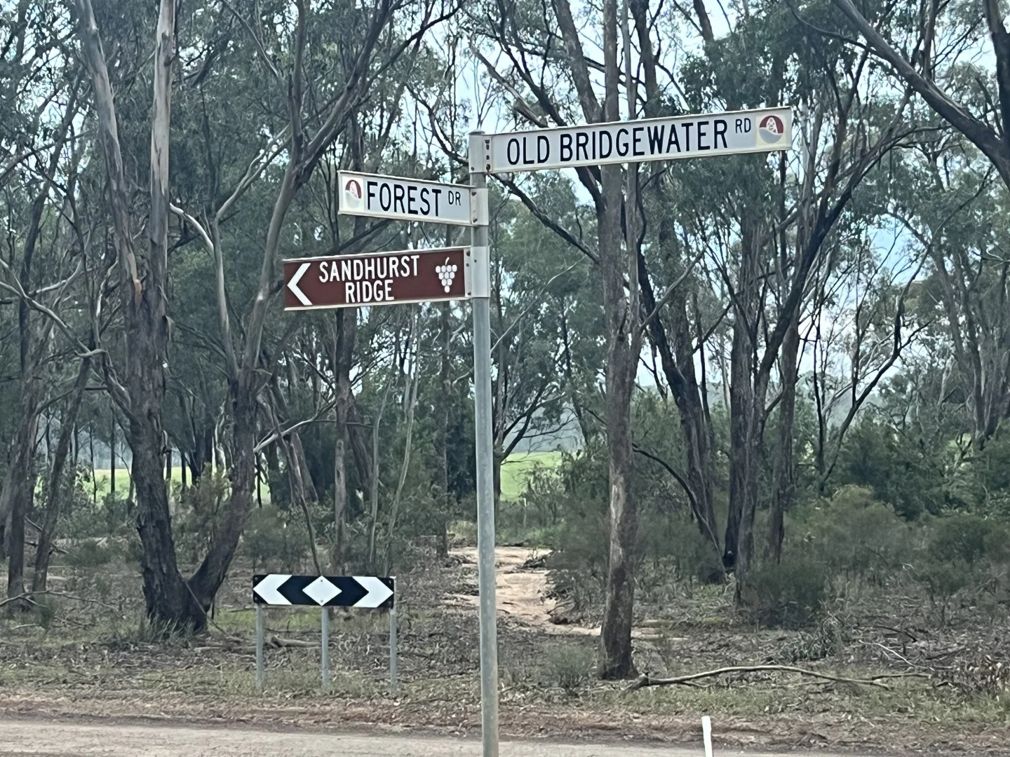 Image 13